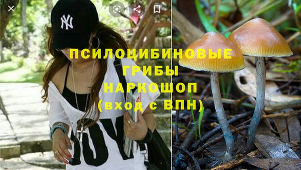PSILOCYBIN Кондопога