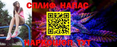 ешки Абакан