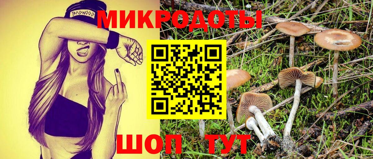 Псилоцибиновые грибы мухоморы Славянск-на-Кубани