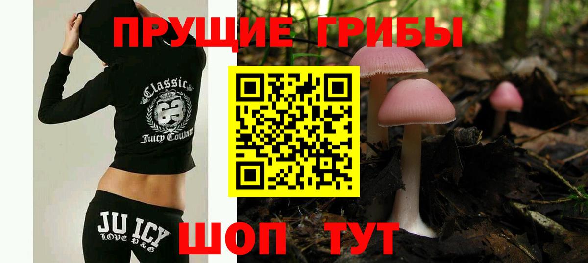 Галлюциногенные грибы Psilocybe  Псилоцибиновые грибы мухоморы  Славянск-на-Кубани 