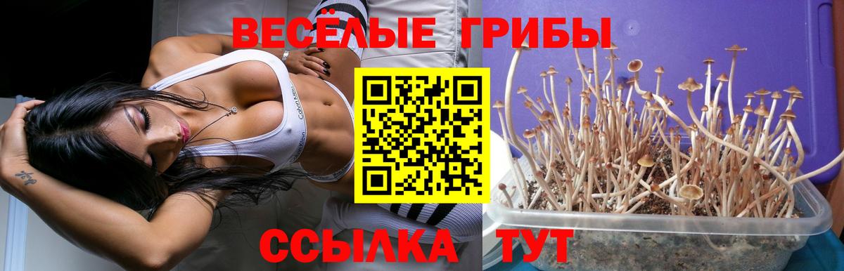 Славянск-на-Кубани  Псилоцибиновые грибы MAGIC MUSHROOMS  Галлюциногенные грибы Magic Shrooms  купить закладку  Вход с VPN 
