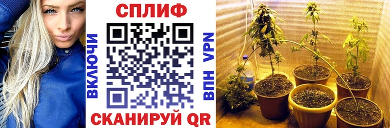 Бошки Шишки сатива мориарти как зайти Славянск-на-Кубани